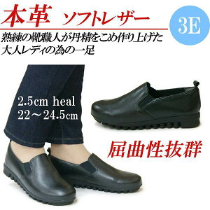 {v Xb| fB[X  RtH[gV[Y JWAV[Y TChSA Xj[J[ ubN ₷ ɂȂ L 3E y