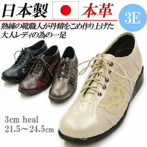 { {v Xj[J[ [Jbg fB[X RtH[gV[Y R Xb| 傫TCY U[ JWAV[Y L 4E  ԕ