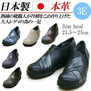 { {v Xb| fB[X RtH[gV[Y JWAV[Y TChSA Xj[J[ [Jbg  ₷ ɂȂ L 3E y