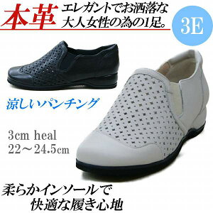 {v Xb| fB[X Xj[J[ [Jbg L 3E RtH[gV[Y TChSA y p`O JWAV[Y  ubN O[