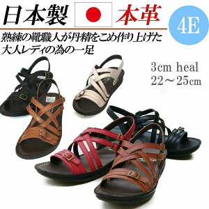 { {v T_ fB[X [q[ tbg  U[RtH[gT_ Xgbv fB[XT_ obNXgbv 傫TCY 4E L