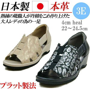 { {v RtH[gV[Y fB[X T_ [q[ EFbWq[ I[vgD EFbW RtH[gT_ S  x[W L 3E