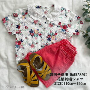 Vc@Vc@p`Ot[@hJ@gbvX@q@Vc@؍q@vgTVc@̎q@qǂ@qp@؍@_X@HAEBARAGI@؍qǂ@110cm120cm130cm