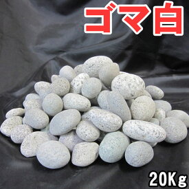 楽天市場 石 うずらの通販