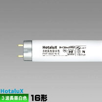 楽天市場】nec 蛍光灯 wwhgの通販