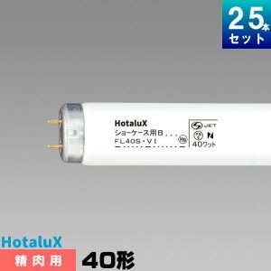 z^NX(NEC) FL40SVI V[P[Xp u u uv p [25{][1{3821.48~][Zbgi]