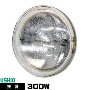 EVI JDR100V300WG/N/S3/S V[hr[ nQv PAR36 JDR^Cv p dF 2900K 35000cd