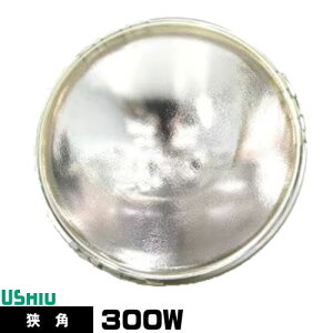 EVI JDR100V300WG/N/S5/M V[hr[ nQv PAR56 JDR^Cv p dF 2900K 75000cd