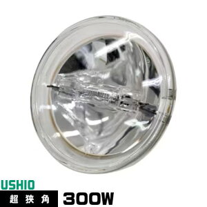 EVI JDR100V300WG/VN/S3/S V[hr[ nQv PAR36 JDR^Cv p dF 2900K 45000cd