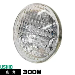 EVI JDR100V300WG/W/S3/S V[hr[ nQv PAR36 JDR^Cv Lp dF 2900K 10000cd