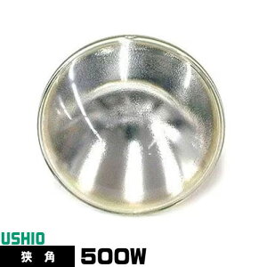 EVI JDR100V500WG/N/S6/E V[hr[ nQv PAR64 JDR^Cv p dF 2900K 110000cd