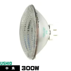 EVI JP100V300WC/M/S5/M V[hr[ nQv PAR56 JP^Cv p dF 3200K 57000cd