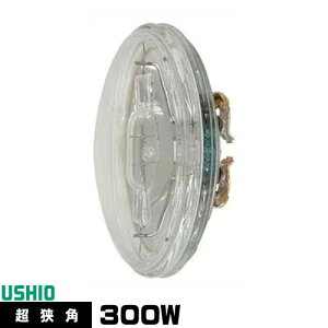 EVI JP100V300WC/VN/S3/S V[hr[ nQv PAR36 JP^Cv p dF 3200K 80000cd