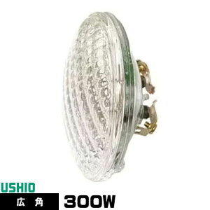 EVI JP100V300WC/W/S3/S V[hr[ nQv PAR36 JP^Cv Lp dF 3200K 17000cd