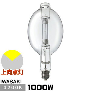  M1000LS/BD ^nChv FEC}`nCG[X ` ʌ` _`