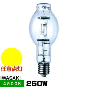 (݌Ɍ) M250LSH/U ^nChv FEC}`nCG[XH ` ʌ` Cӓ_`