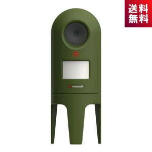 TV g L悯 L REP-600 dr(ʔ) L΍ REP600 musashi