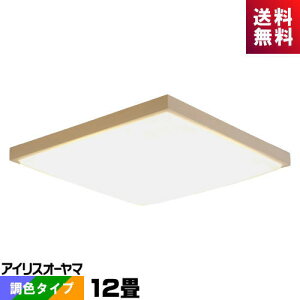 ACXI[} CL12DL-5.1JM LEDV[O 12 EF^Cv ap`
