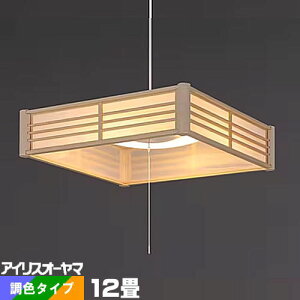 y_gCg a 12 LED PL12DL-J2 ACXI[}  F ㉺ R a a  