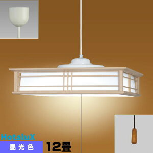 z^NX(NEC) HCDD1250 LEDy_g a 12 F