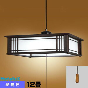 z^NX(NEC) HCDD1255 LEDy_g a 12 F