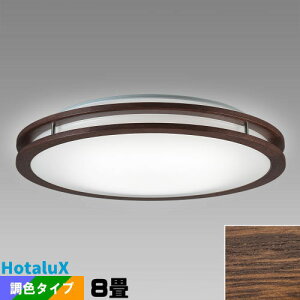 z^NX(NEC) HLDC08304SG LEDV[O 8 EF z^bN A[oI[N(YIi ݌Ɍ)