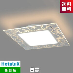 z^NX HLDC08V002LSG LEDV[O 8  z^NXr[ Lh }[uJbg  炬@[J[݌Ɍi