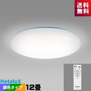 z^NX(NEC) HLDC12301SG LEDV[O 12 EF z^bN(YIi ݌Ɍ)