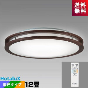 z^NX(NEC) HLDC12304SG LEDV[O 12 EF z^bN A[oI[N