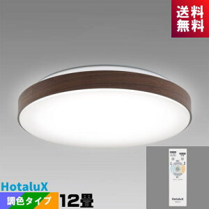 z^NX(NEC) HLDC12333SG LEDV[O 12 EF z^bN Be[WEbh