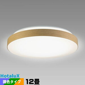 LED�V�[�����O���C�g�@�z�^���N�X HLDC12432SG 12��@���� ���F�@�����R�� �Ɩ���� ��铔 LED �z�^���b�N �m�� ���₷�݃^�C�}�[�@����^�C�}�[ �h���@�\