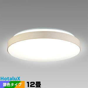 LED�V�[�����O���C�g�@�z�^���N�X HLDC12435SG 12��@���� ���F�@�����R�� �Ɩ���� ��铔 LED �z�^���b�N �m�� ���₷�݃^�C�}�[�@����^�C�}�[ �h���@�\