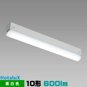 �z�^���N�X MMK1101/06-N1 LED��̌^ �x�[�X�Ɩ� �g���t�` 36mm�� �����F 600lm FL10x1������ �L�b�`�����C�g