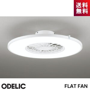 �Ɩ����@�I�[�f���b�N �V�[�����O�t�@�� OL291438BR FLATFAN �t���b�g�t�@�� �I�t�z���C�g 8�� ���� ���F �����R��