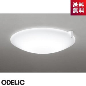 �I�[�f���b�N �T�[�J�f�B�A���V�[�����O���C�g OL291498CR ���������E���F 8�� �����R���t ���̃��Y���𐮂���