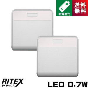 CebNX W-500 ǂłZT[CgCX2 dr