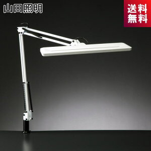 ZCg RcƖ Z-1000 W LEDfXNX^h Nv zCg F  M80W Z1000W [bgCg Z-light YAMADA ł Vv