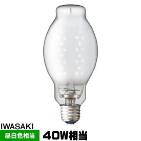 岩崎 LDS8N-G/G LEDioc LEDライトバルブG 8W 水銀灯40W相当 昼白色 口金E26 LDS8NGG