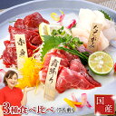 父の日 馬刺し 肉 ギフト 国産 熊本 送料無料 3種食べ比べセット 約5人前 250g 赤身 霜降り 中トロ たてがみ 馬刺 馬肉 贈り物 贈答 内祝い プレ...