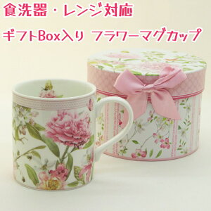 lCiɕtē y~^MtgBox [Y x[VbN }OJbv WEHΉz FMtg v[g Lb`pi H R[q[Jbv eB[Jbv  Jg