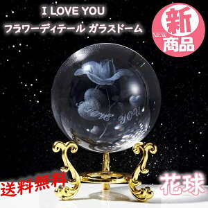 I LOVE YOU �t�����[�f�B�e�[�� �K�^ �ԋ��E�Ɏq�� �K���X�h�[�� �I�u�W�F 1�� �����F���� �肢 �^�C�A�b�v ���^ �u�� �h�A �� �X�܃f�B�X�v���C�p�i �M�t�g �v���[���g �C���e���A�P�n�K�N�G��