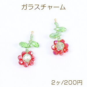 C[KX`[ t[`[ Jt 12×30mm S[hi2j