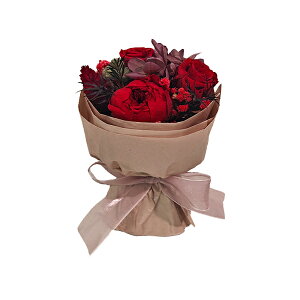 y11/27܂ōőP10{zVEhEt[ vU[uht[ AW {t NAP[X fUC ~ju[P Mtg CeA v[g ԑ