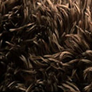 y撅zN[|zO J[ybg 200×250cm 􂦂 @ ې VM[O n  }CNt@Co[ ۉH ~ g[Ή zbgJ[ybgΉ 킢  