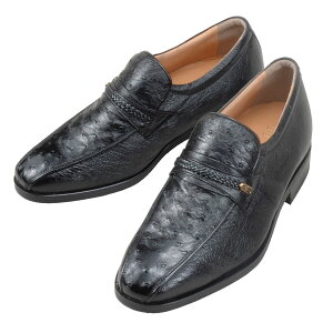 r𒷂AX}[g I[Xgb`v X[J 5cmUP gAbv wȂC Y amC V[NbgV[Y C vC [t@[Xb| rWlXV[Y ʋ 