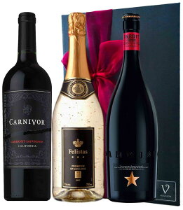 y15őP10{ Iׂ郁bZ[WJ[hzC Mtg 3{Zbg ԃC J[jH 750ml 1{ XyC r[ ClfBbg r[750ml 1{  22Jbg C tFX^X 