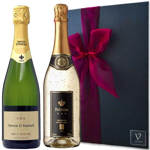 y5P10{ Iׂ郁bZ[WJ[hzC Mtg 2{Zbg G^bgEGEphG ubgEi`[ 750ml Xp[NOC tFX^X 750ml v[g 