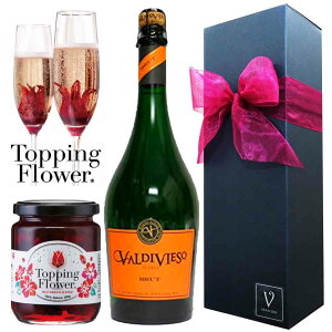 y20őP10{zC Mtg C Xp[NOCFofBrG\ ubg 750ml × gbsOt[ v[g  a bZ[W