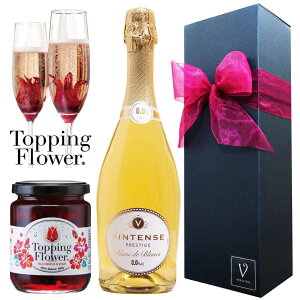 yIׂ郁bZ[WJ[hzC Mtg 2{Zbg Mtg ԃC TE}c@[mERbcBI[lE`NA^+5 750ml C tX/EBA tF[u Vu 750ml