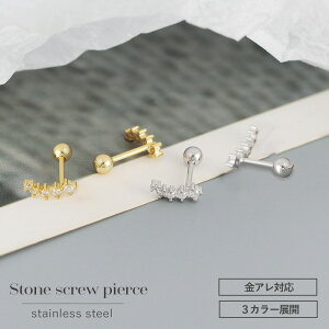 _24ԌI20OFFN[|zz^ςȂsAX ςȂ sAX T[WJXeX AM[ sAX 316l lW 5A Lb` ˂ WRjA ꗱ _C